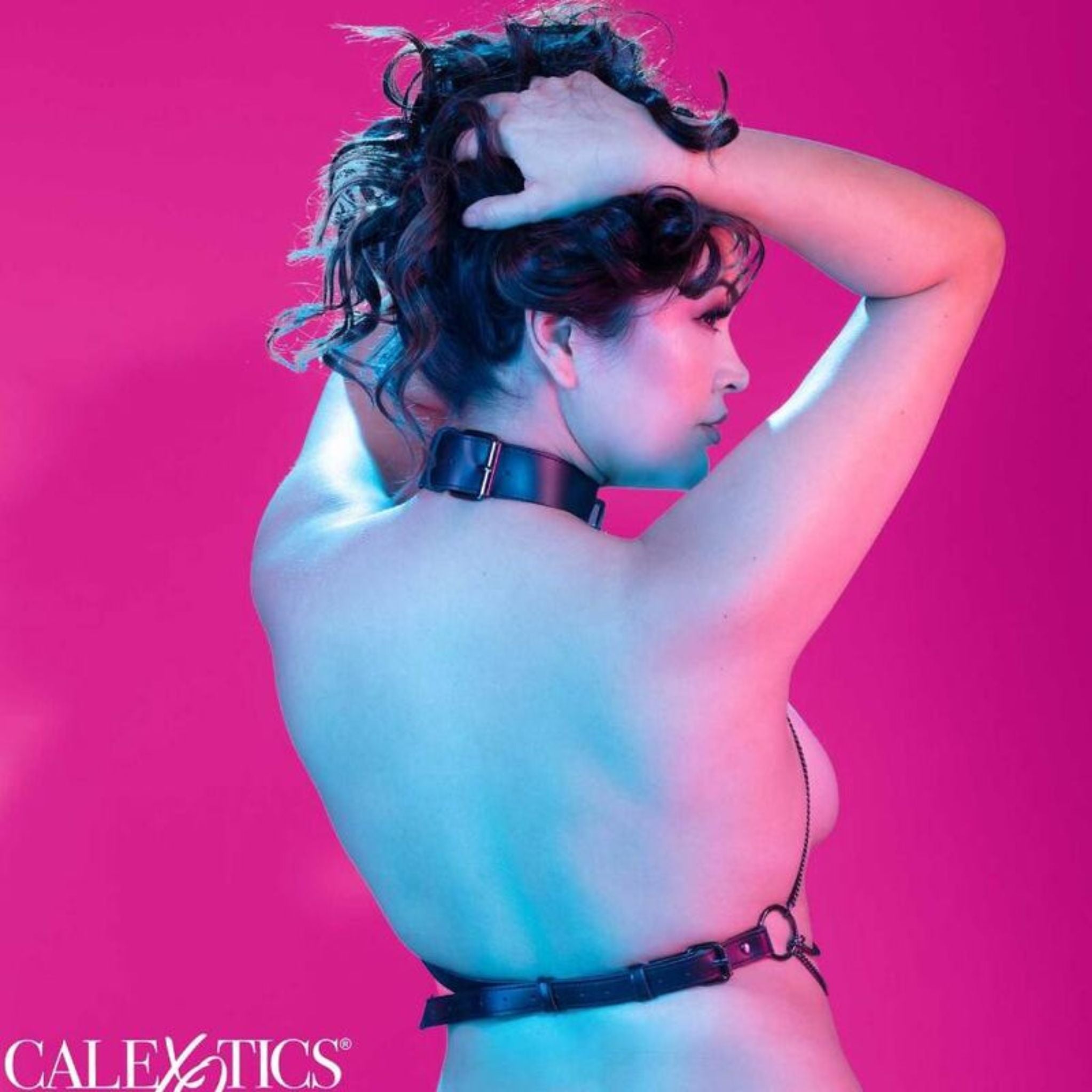 CALEXOTICS EUPHORIA PLUS