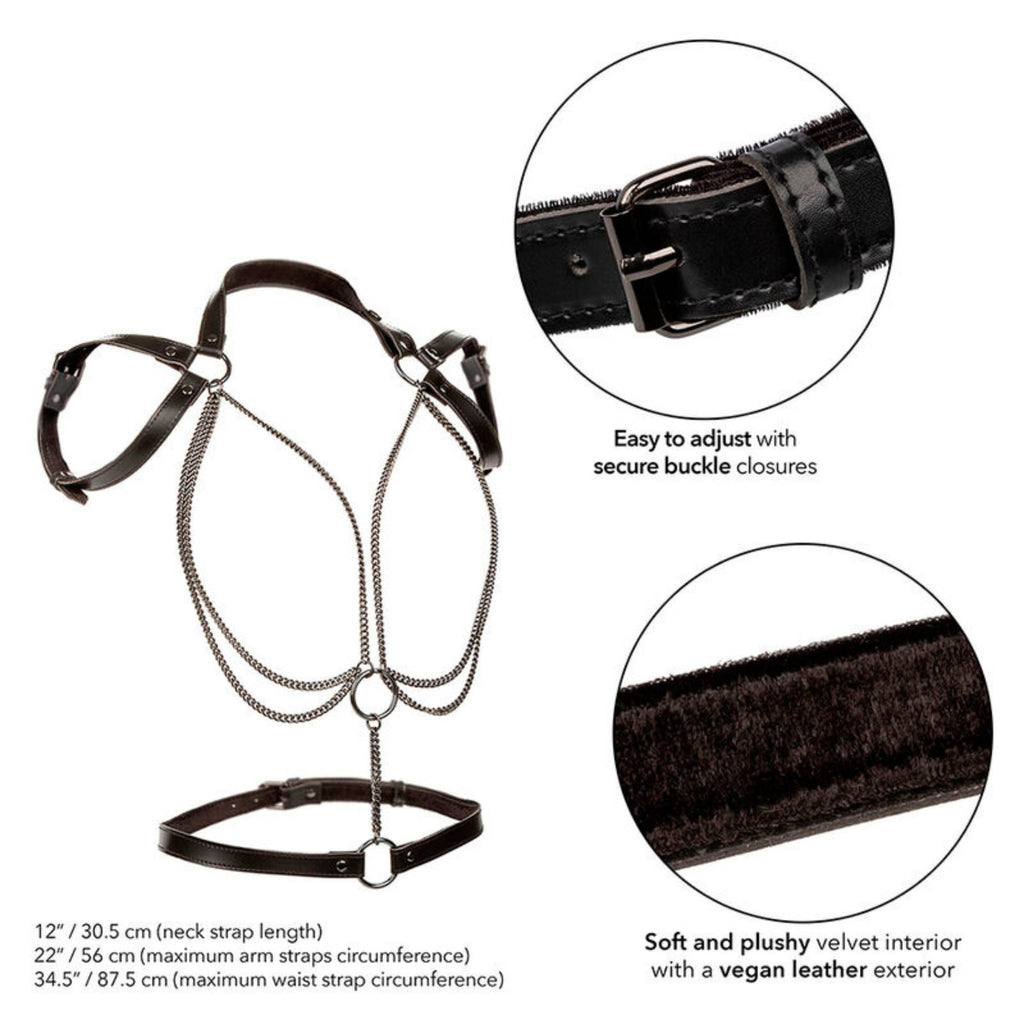 CALEXOTICS EUPHORIA MULTI CHAIN NECK HARNESS