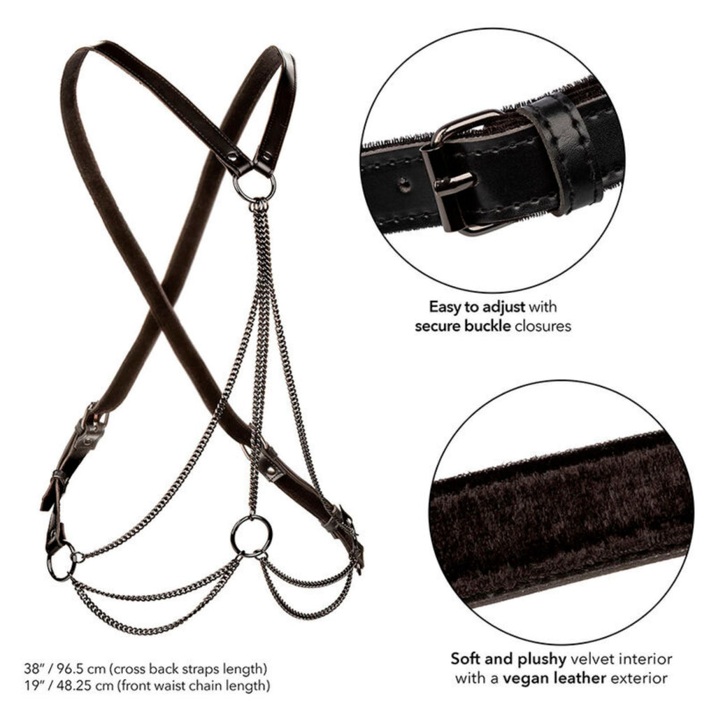 CALEXOTICS EUPHORIA PLUS SIZE MULTI CHAIN HARNESS