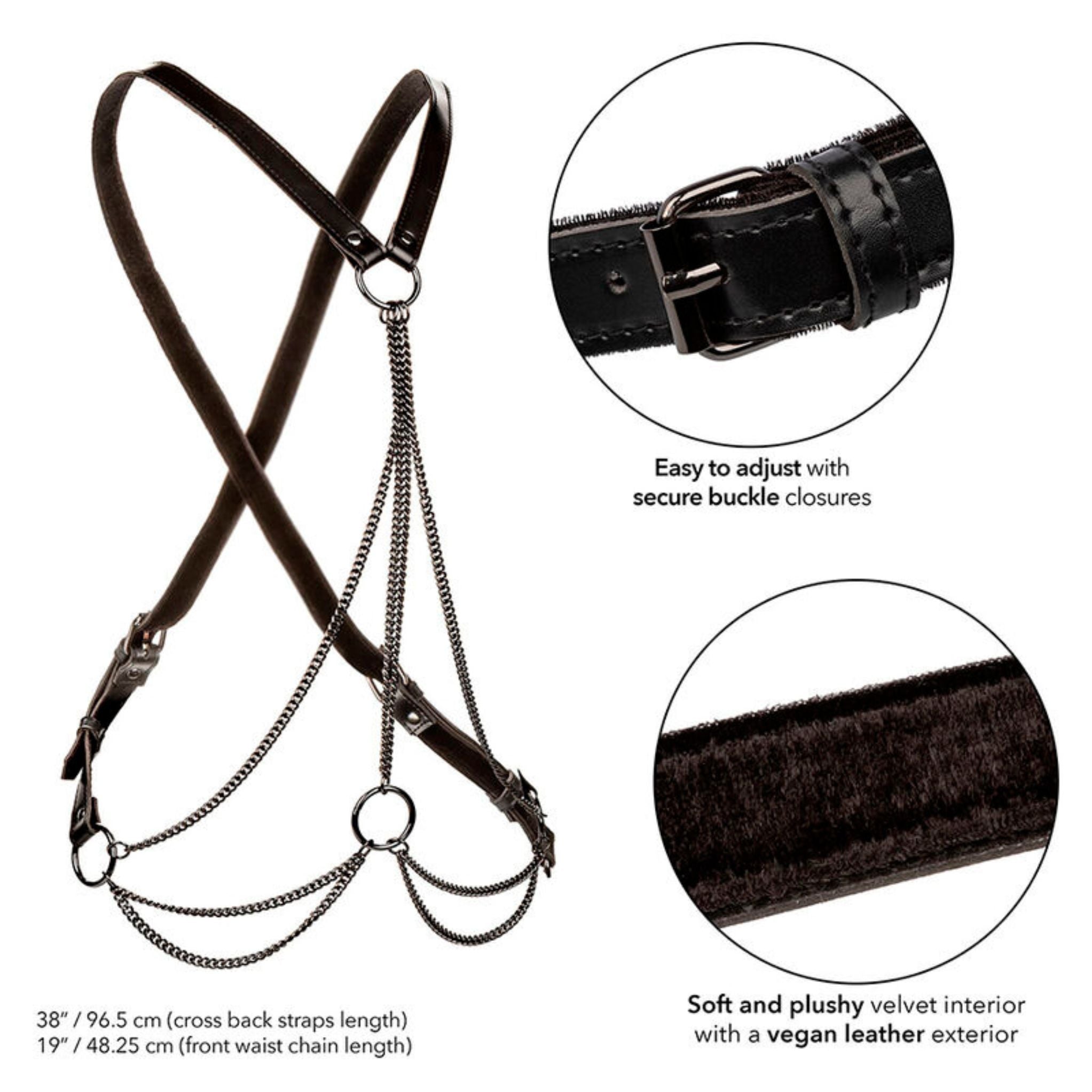CALEXOTICS EUPHORIA PLUS SIZE MULTI CHAIN HARNESS