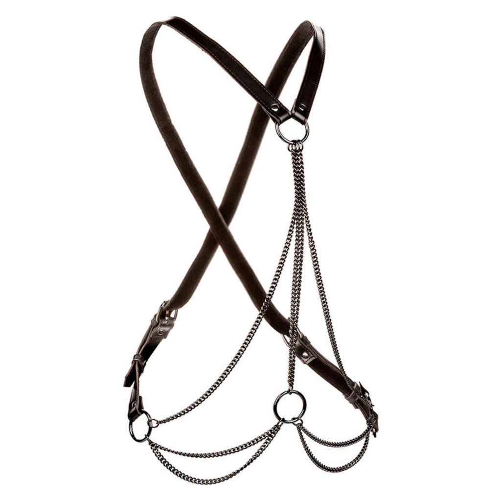 CALEXOTICS EUPHORIA PLUS SIZE MULTI CHAIN HARNESS