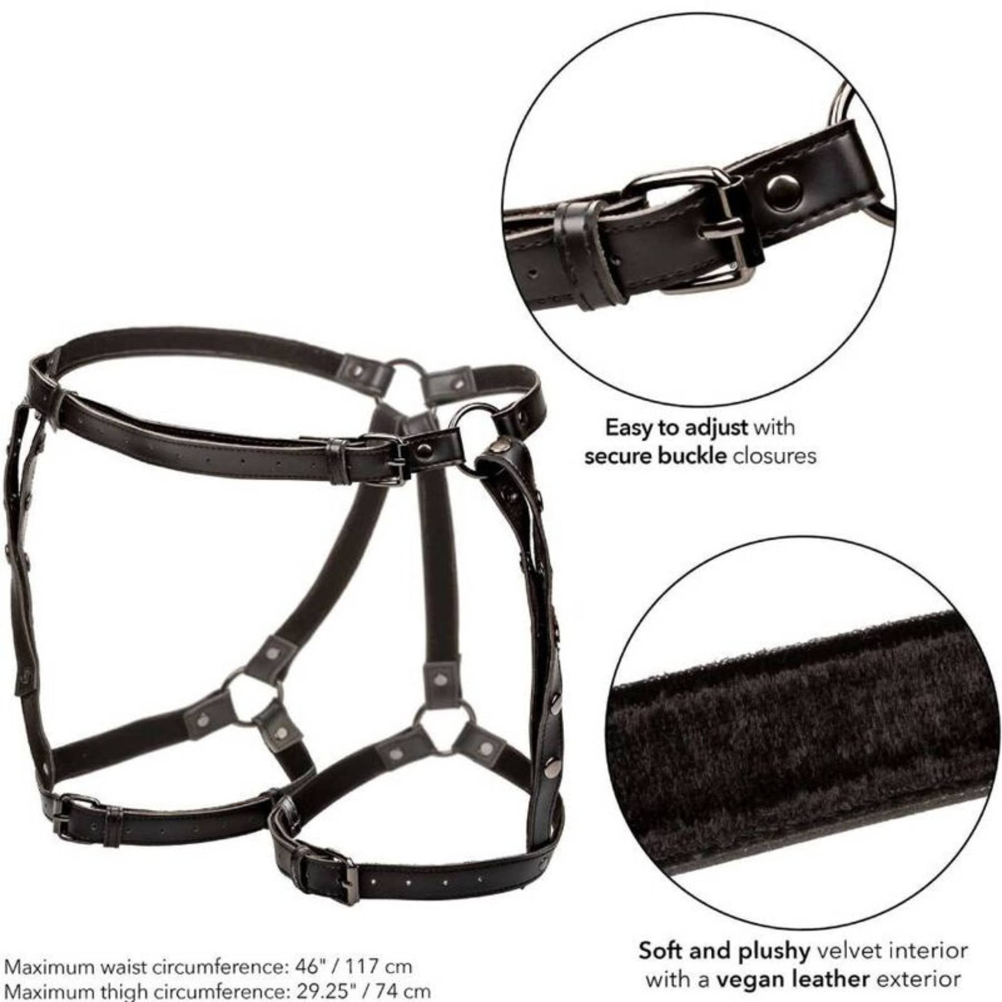 CALEXOTICS EUPHORIA PLUS SIZE OBERSCHENKEL-HARNESS
