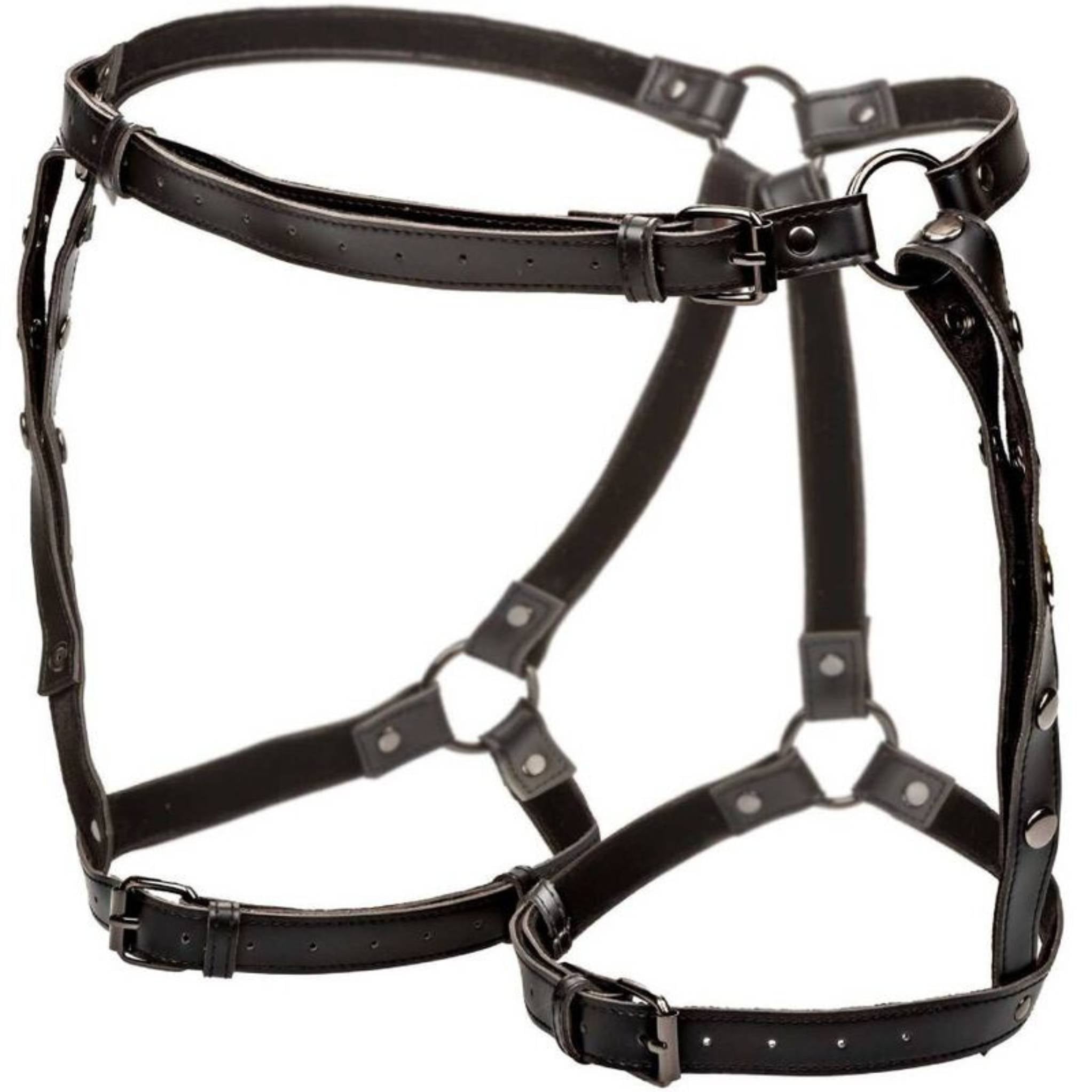 CALEXOTICS EUPHORIA PLUS SIZE OBERSCHENKEL-HARNESS