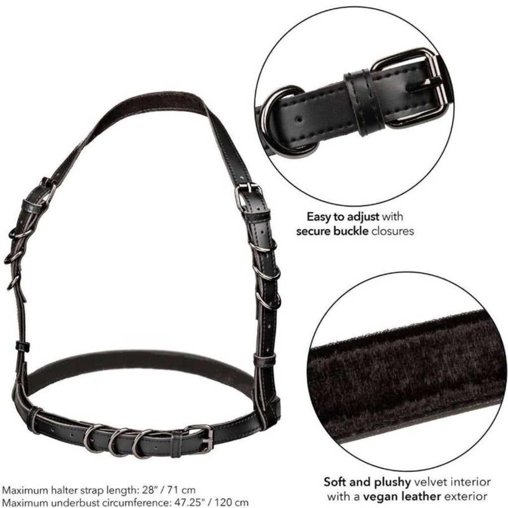 CALEXOTICS EUPHORIA PLUS SIZE NECK HARNESS
