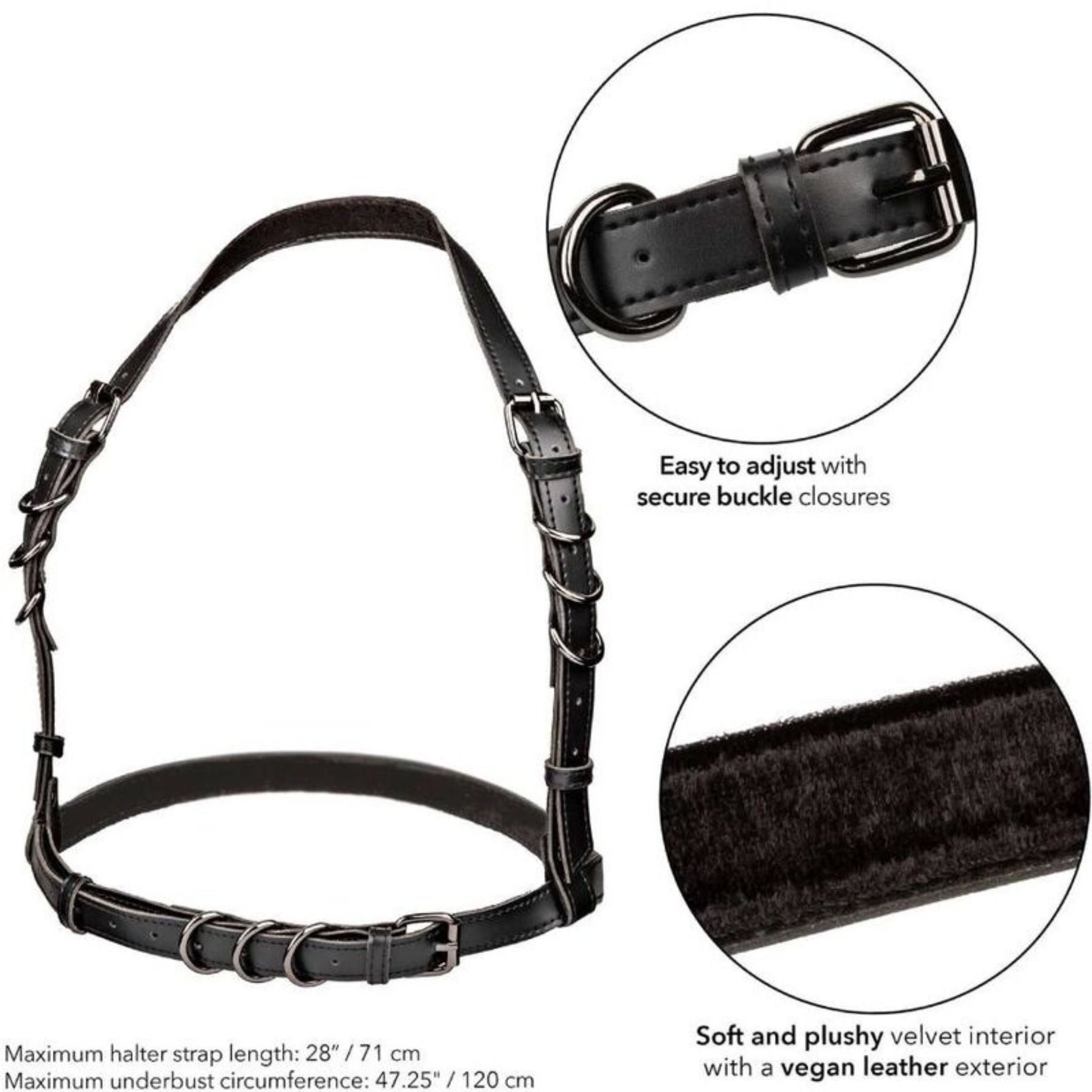 CALEXOTICS EUPHORIA PLUS SIZE NECK HARNESS