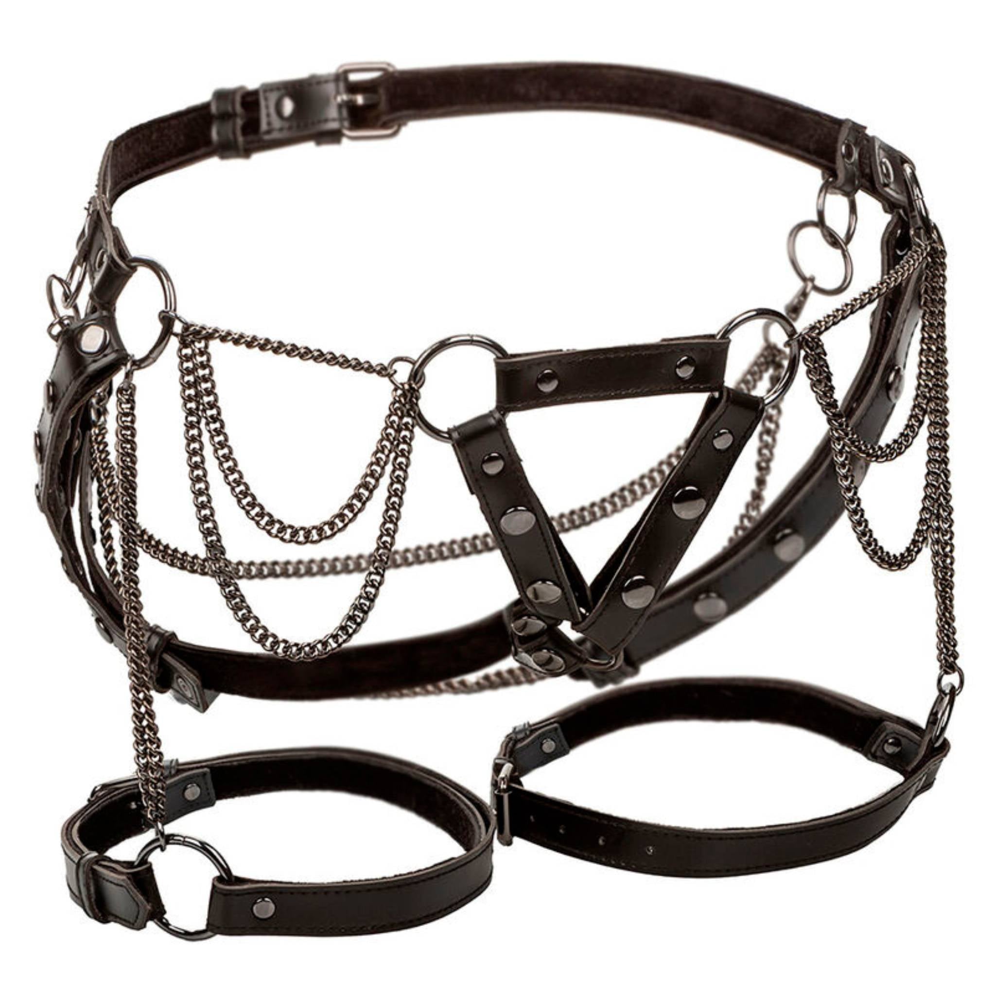 CALEXOTICS EUPHORIA PLUS SIZE OBERSCHENKEL-HARNESS