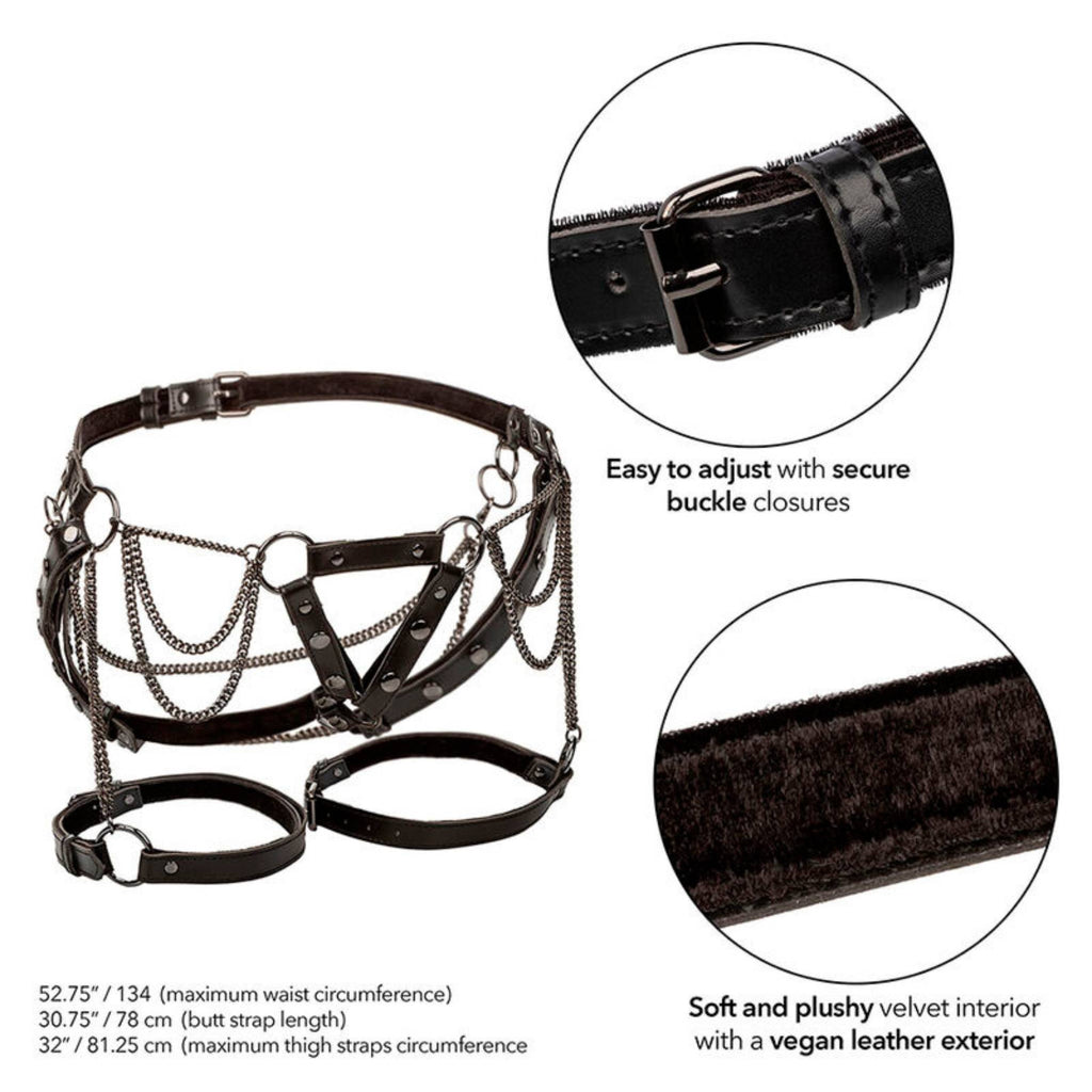 CALEXOTICS EUPHORIA PLUS SIZE OBERSCHENKEL-HARNESS