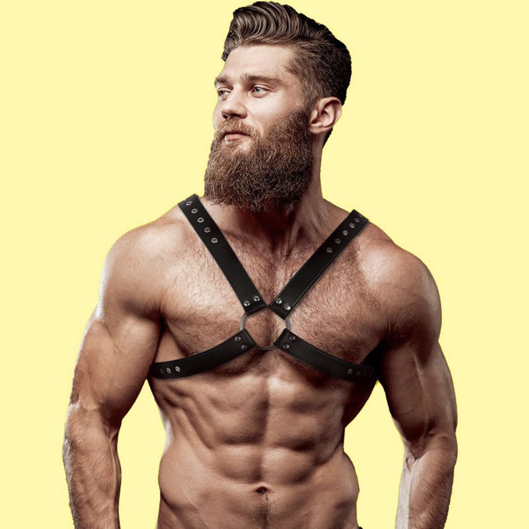 FETISH SUBMISSIVE ATTITUDE BRUST HARNESS